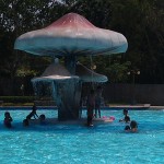 Forest Park Fountain Play