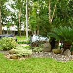 Forest Park