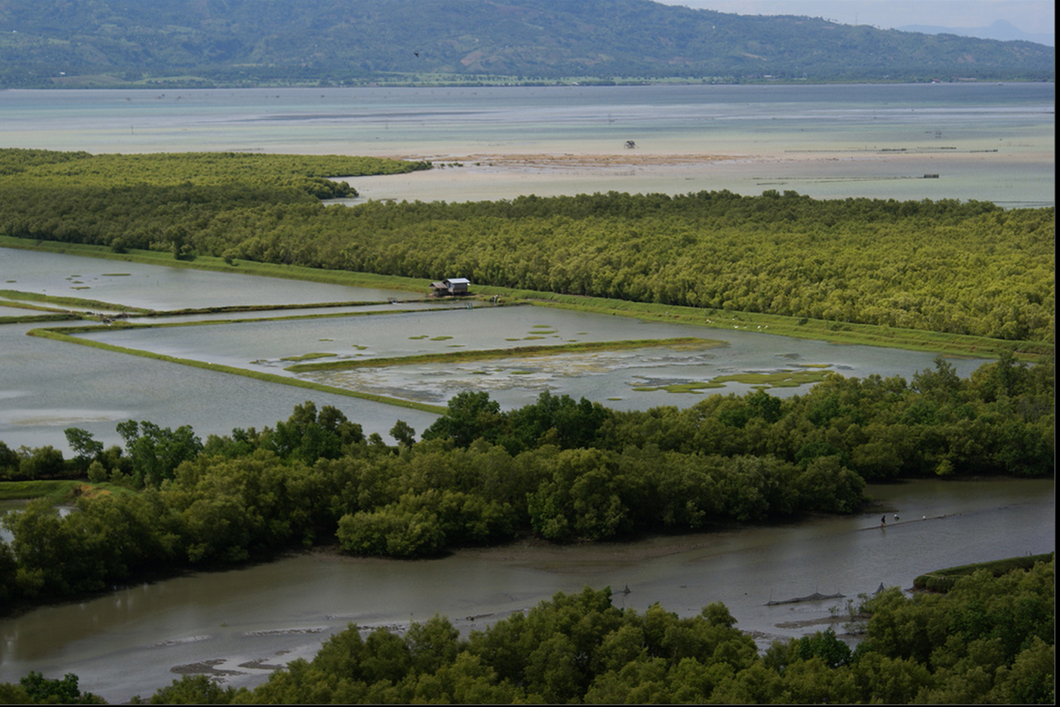 Fish Farming  Attracttour