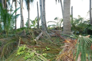 Brgy. Marikaban, Photo courtesy - Francis Lascuña Lopez Balbero in facebook