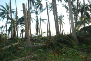 Brgy. Marikaban, Photo courtesy - Francis Lascuña Lopez Balbero in facebook