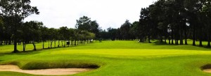 negros occidental golf and cuntry club, inc.