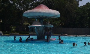 Forest Park Fountain Play