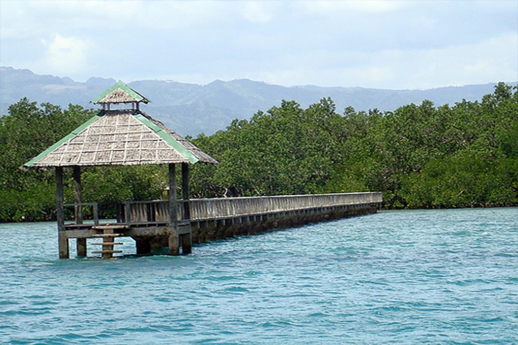 Forest Park Bais City