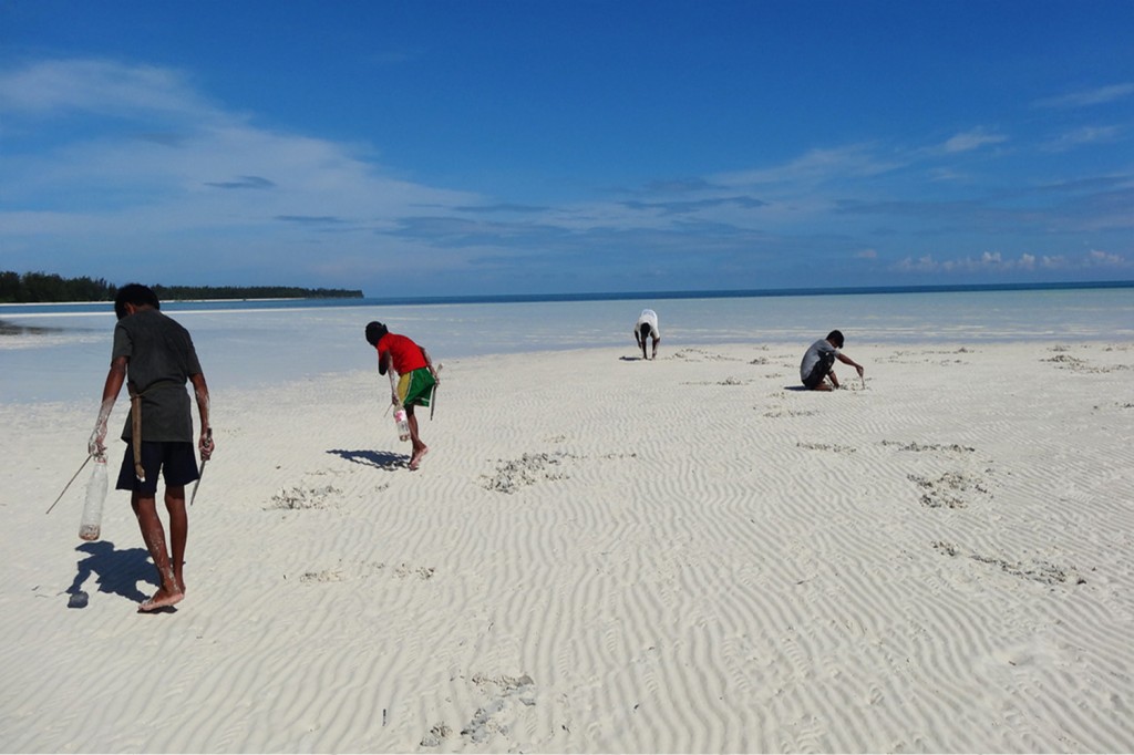 Bagsuk Island, Palawan