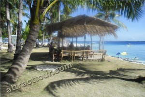 Virgin Island 35