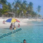 Sillion Island