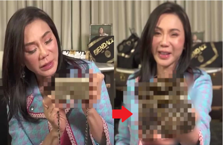 Vicki Belo Reveals Her Favorite Items From Various Luxury Brands -  AttractTour