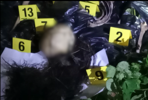 How fast did Jovelyn Galleno's Alleged Deàd Body Decompose? - AttractTour