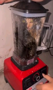 VIRAL: VIDEO FOOTAGE of Abusive Cat Owner Who Puts Cat Inside A Blender ...